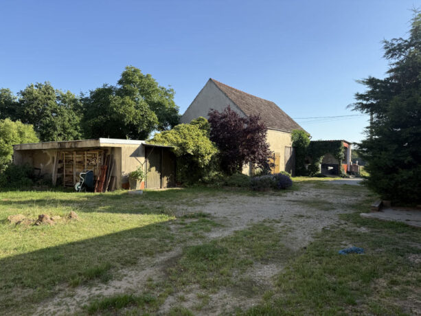 Bild5