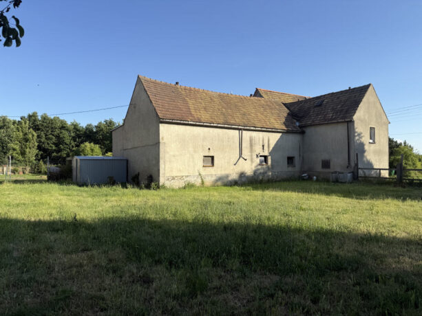 Bild6