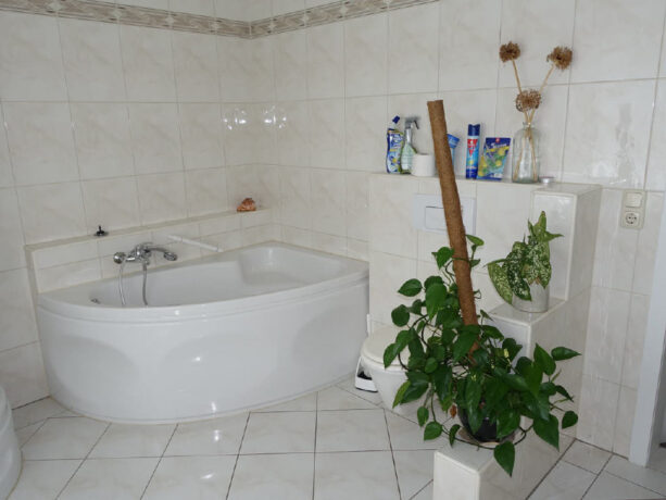 Bild13