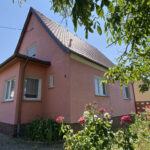 Bild1