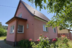Bild1