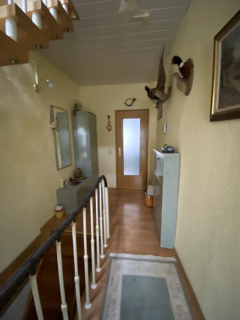 Bild8