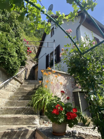 Bild3