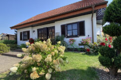 Bild1