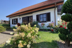 Bild1