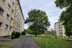 Bild13