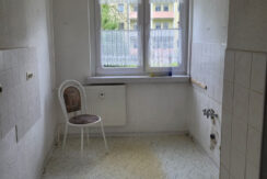 Bild7