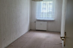 Bild11
