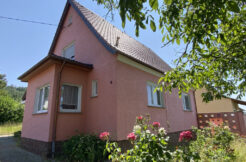 Bild1
