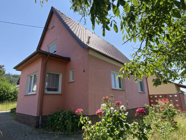 Bild1