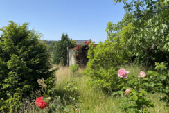 Bild7