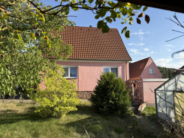 Bild6