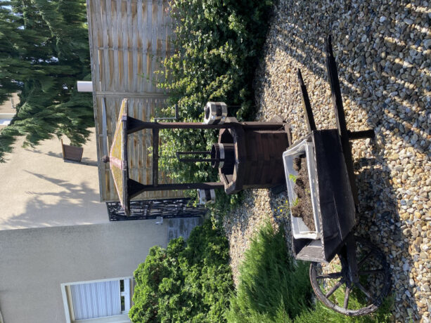 Bild5