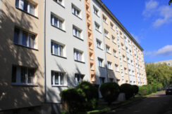 Bild1
