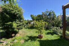 Bild5