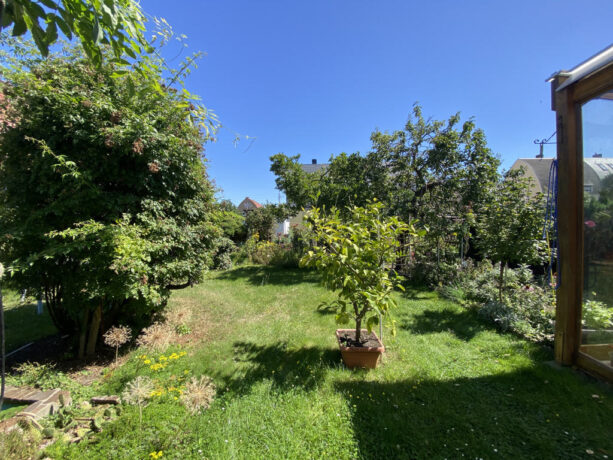 Bild5