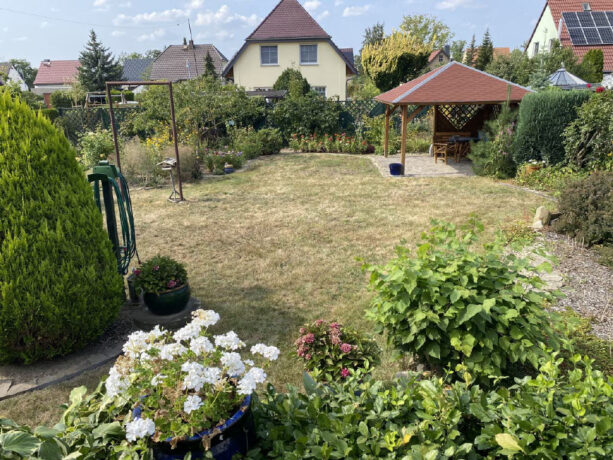 Bild7