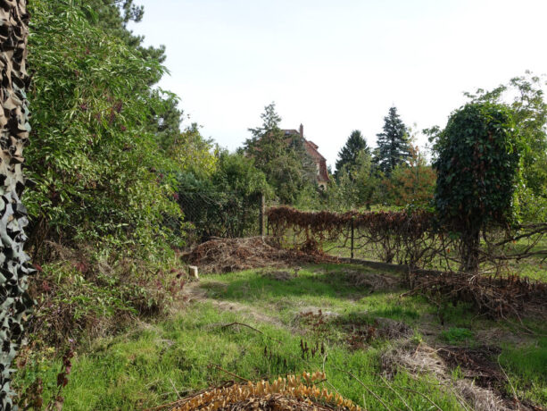 Bild4