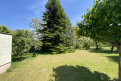 Bild8