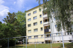 Bild1