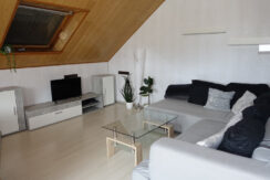 Bild19