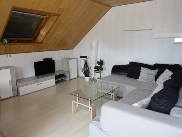 Bild19