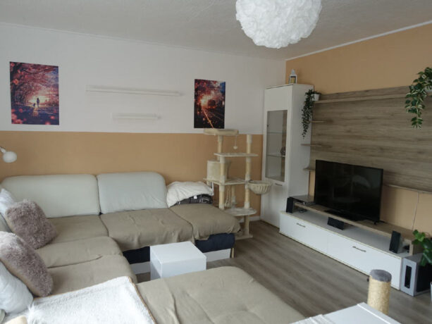 Bild8