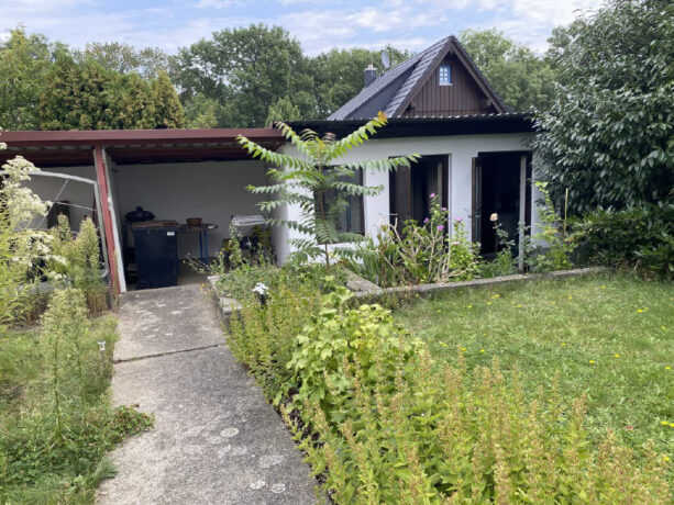 Bild6