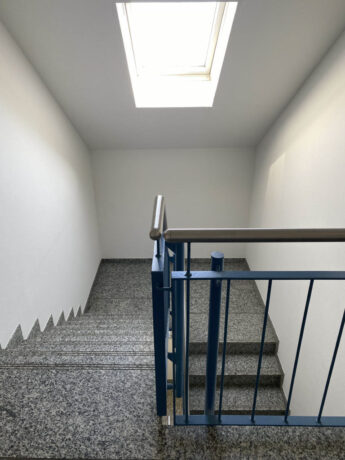 Bild5