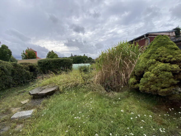 Bild3