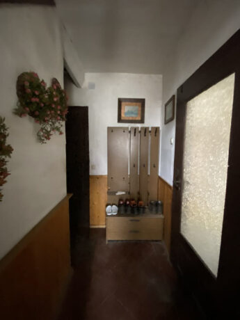 Bild6