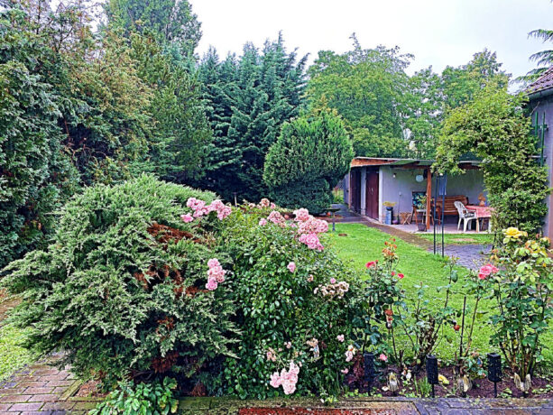 Bild3