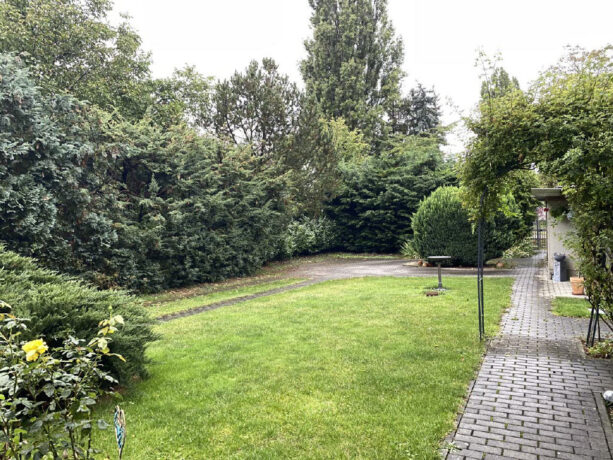 Bild6