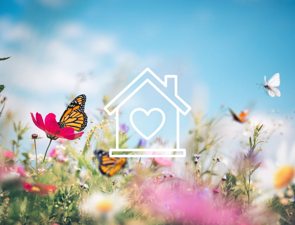 Ihr Platz für den künftigen Wohntraum – Baugrundstück in Innenstadtlage von Riesa!