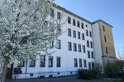 Bild6