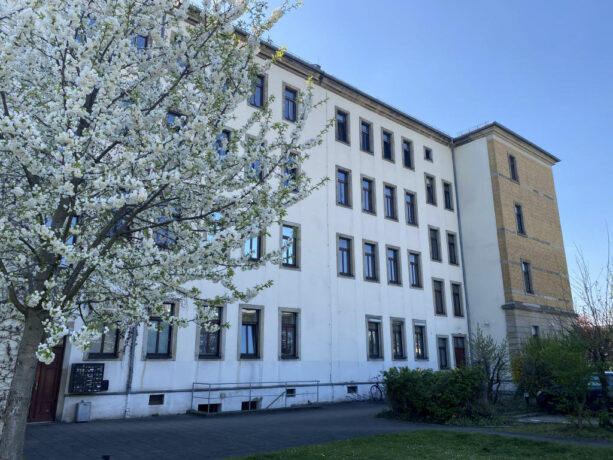 Bild6