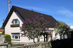 Bild3