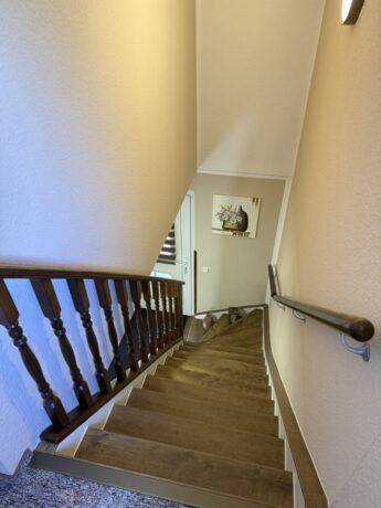 Bild20