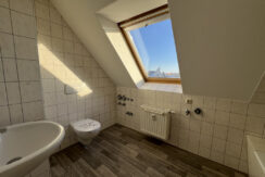 Bild7