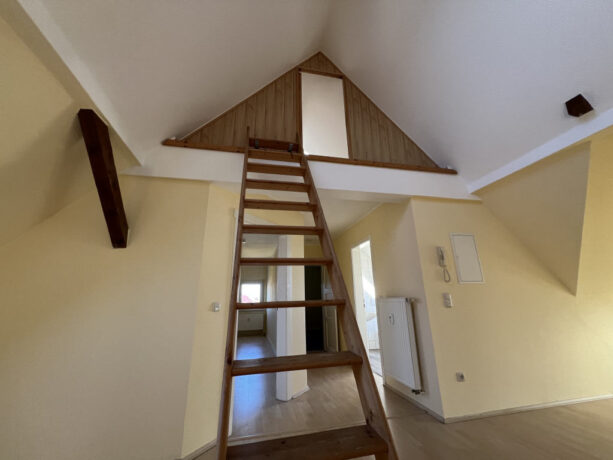 Bild8
