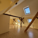 Bild1