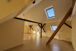 Bild1