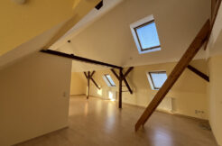 Bild1