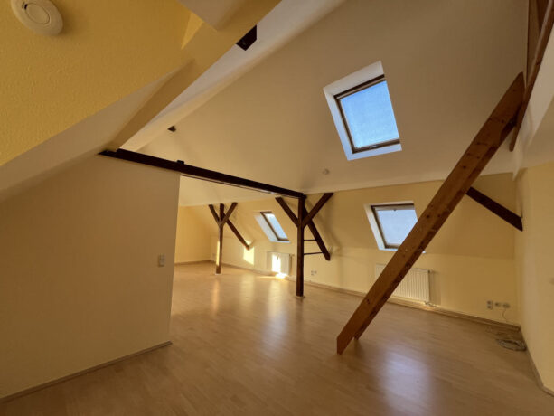 Bild1