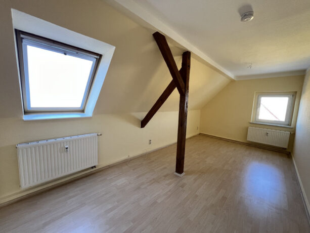 Bild5