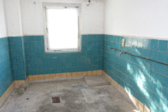 Bild8