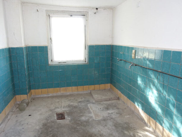 Bild8