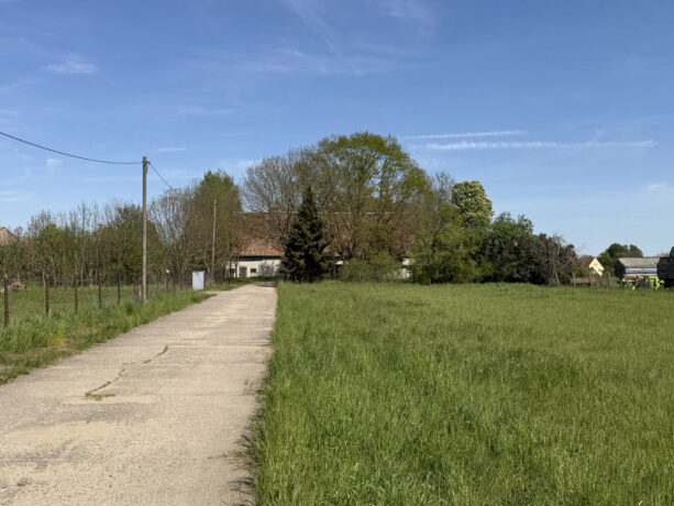 Bild6