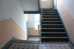 Bild8