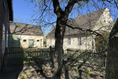Bild5